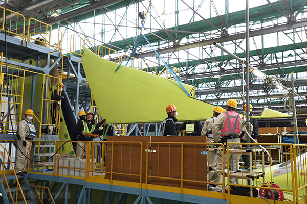 A "dorsal fin" that is attached between the fuselage and the vertical tail to smooth out the air flow.