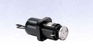 Spindle motor for wafer inspection