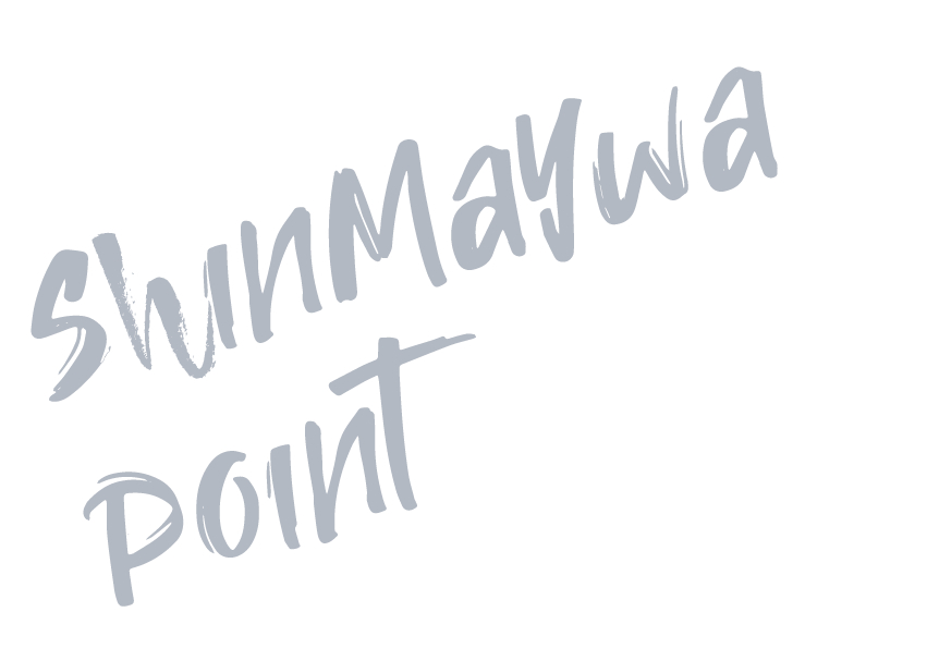 ShinMaywa point